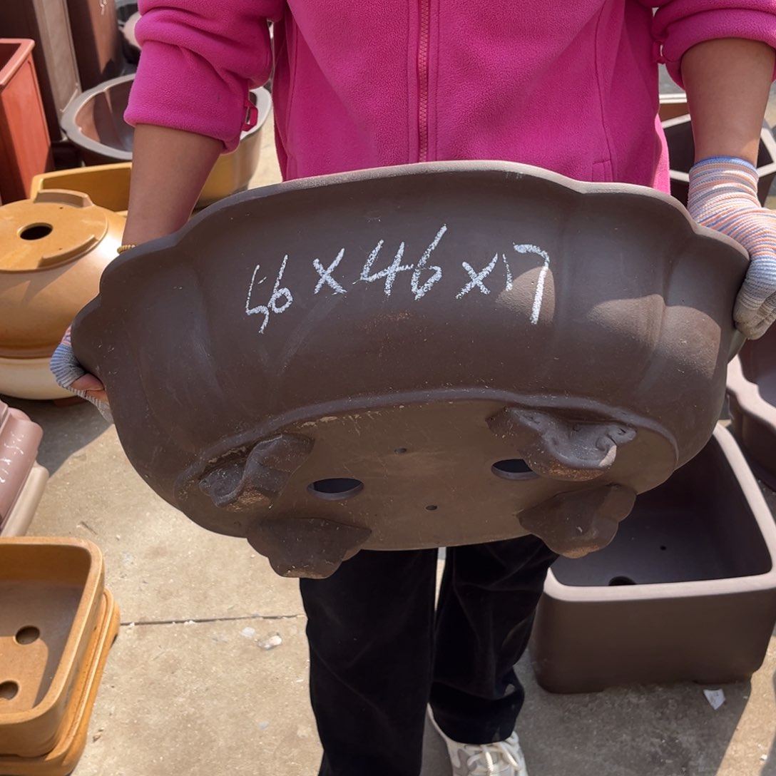 紫砂花盆盆景艺术