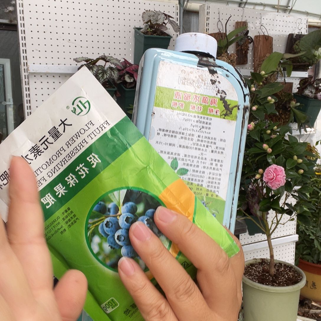 一瓶海藻精送一包促花肥送一个喷壶
