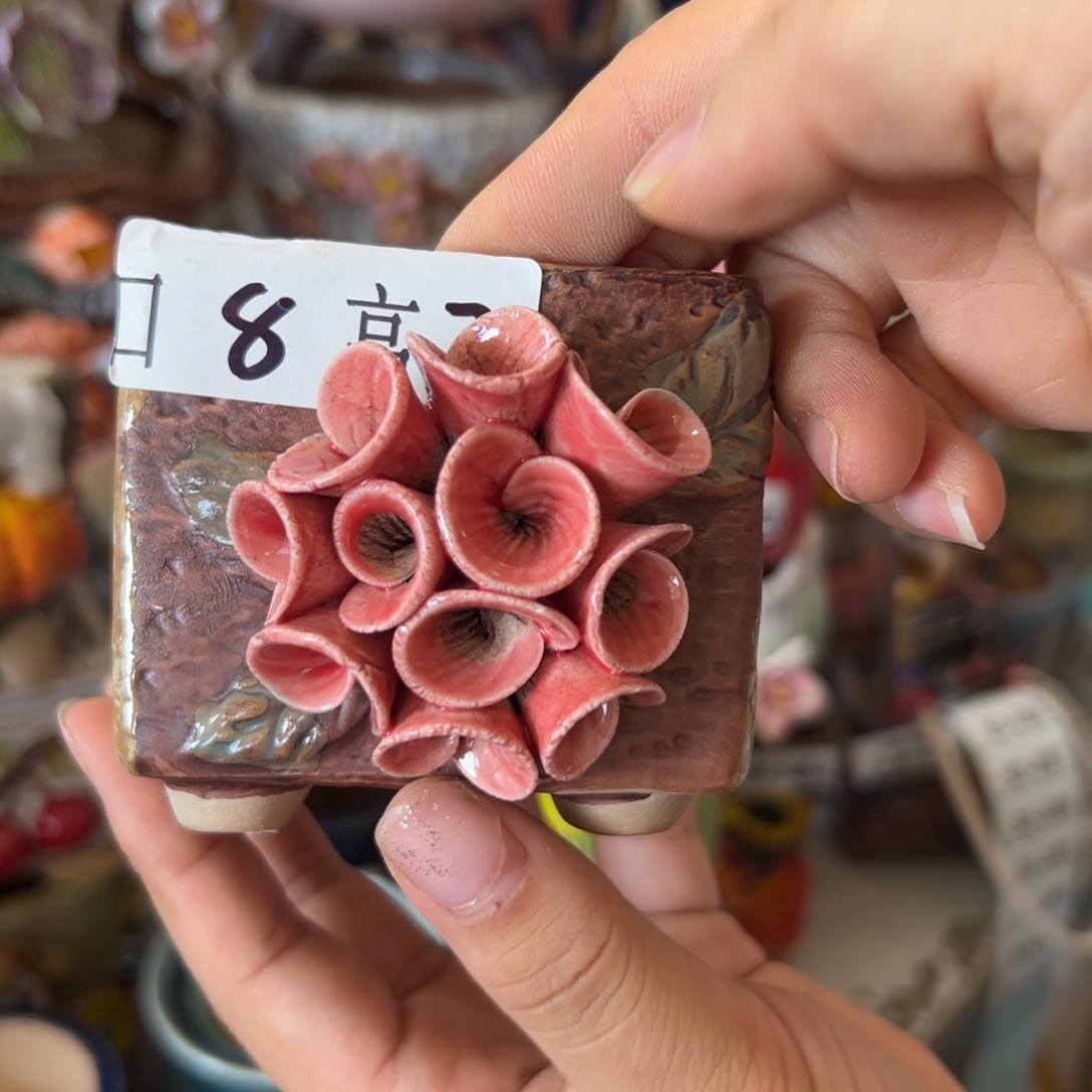 花盆，满20米发货爱退款拉黑