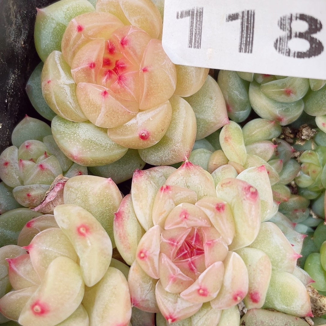 颖***9118额度不变价不变心是