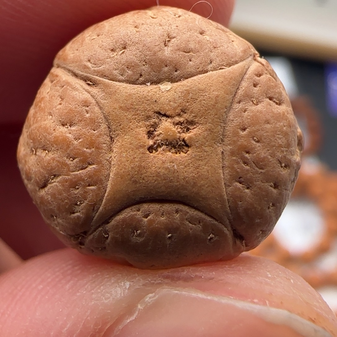 凤眼菩提吊坠17货号2