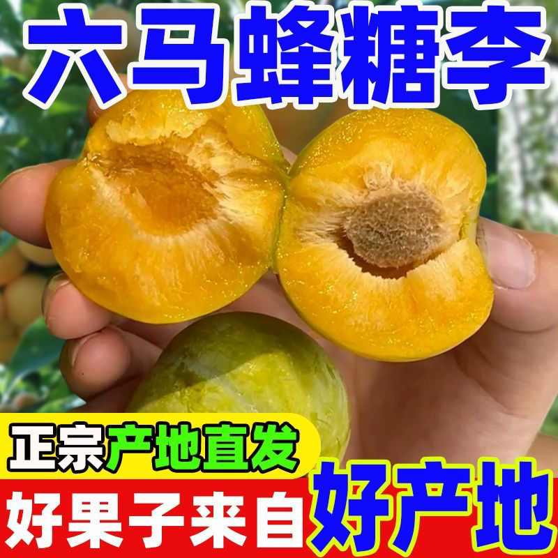 X【京东空运直达】贵州六马正宗蜂糖李新鲜当季水果现摘现发脆甜