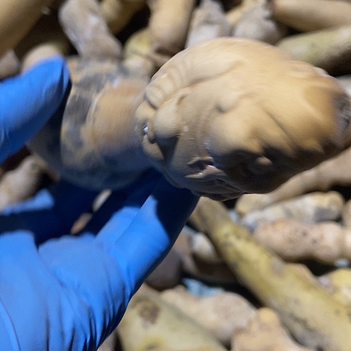 阿***辉直播间里的拍品链接