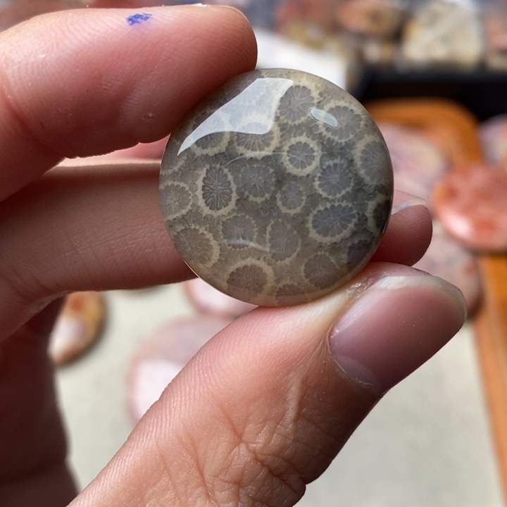 硅化玉颈饰未镶嵌豹*子