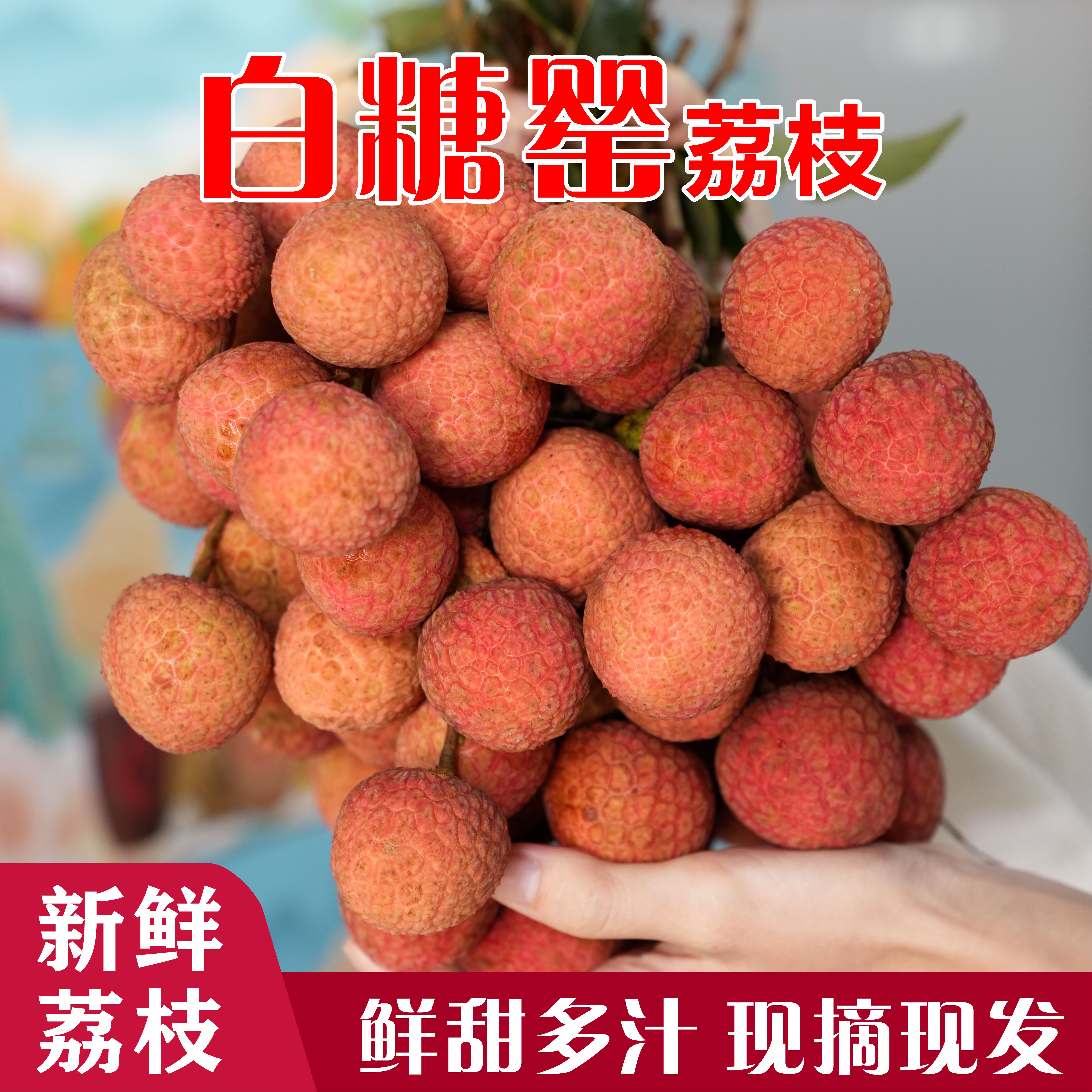 （广东省外）高州平山白糖罂桂味荔枝当天现摘新鲜桂味荔枝顺丰包邮