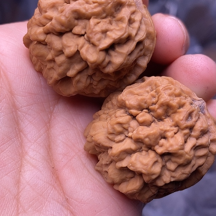 手串文玩核桃  250