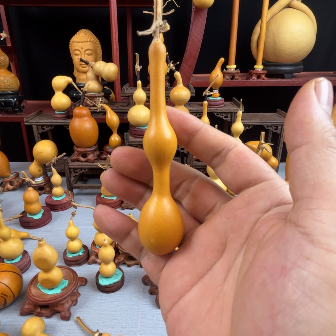 s***y藤木我的小可爱，一点也不像个女孩