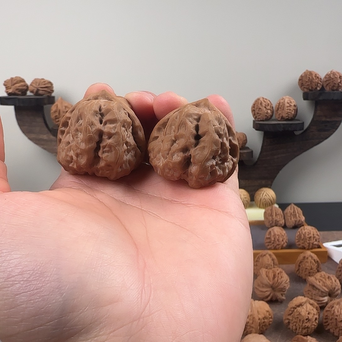 核桃修型三角娃四开背四蹬腿四掐腰