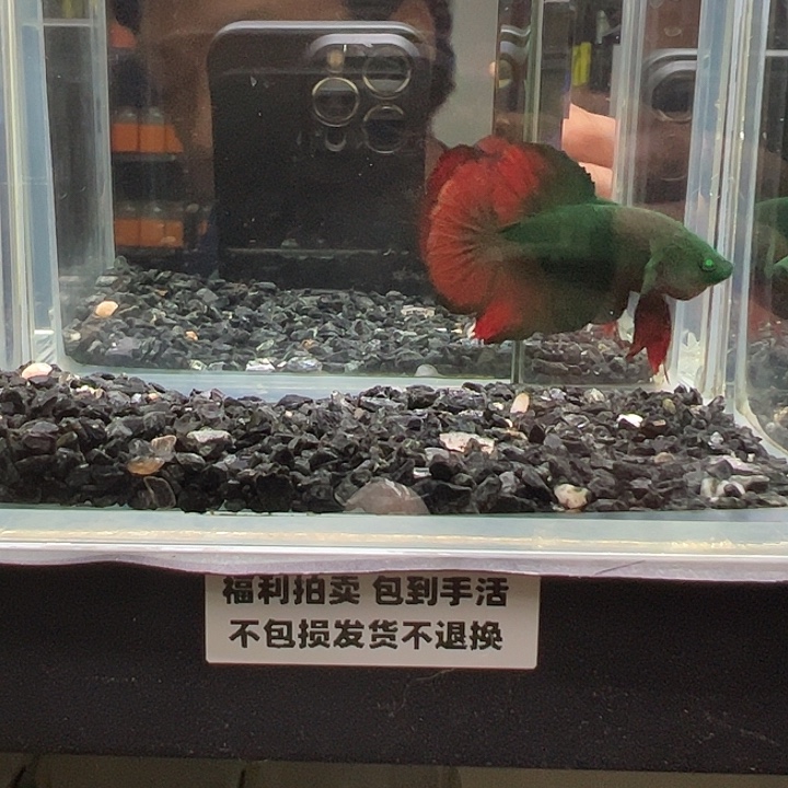 斗鱼跑单拉黑17日55