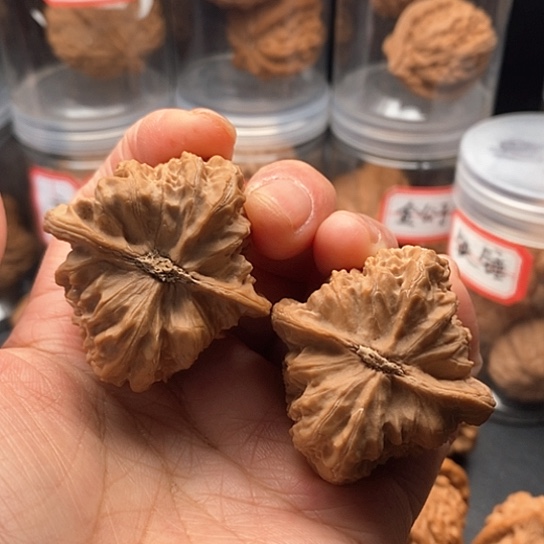 文玩核桃把件火焰马蹄