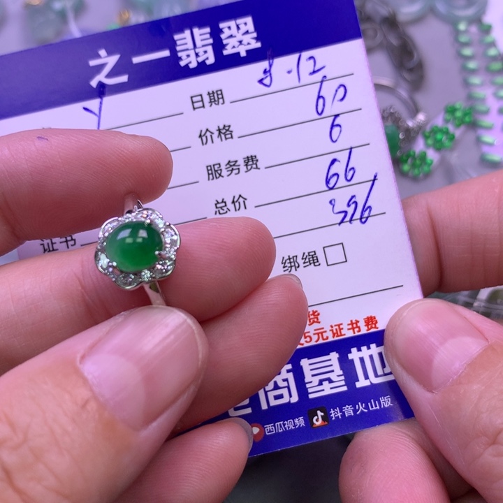翡翠未镶嵌颈饰y****a