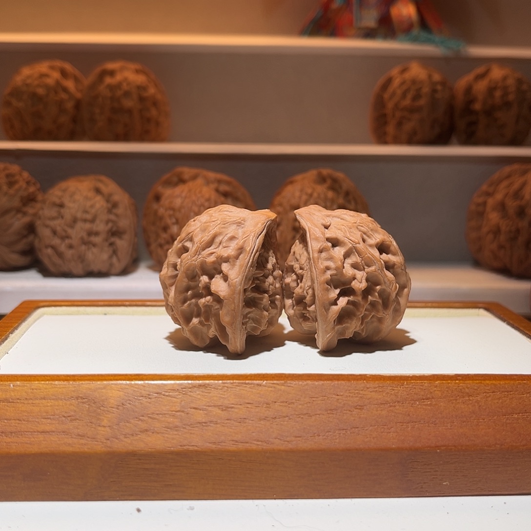 盘山小蛇头，异形……