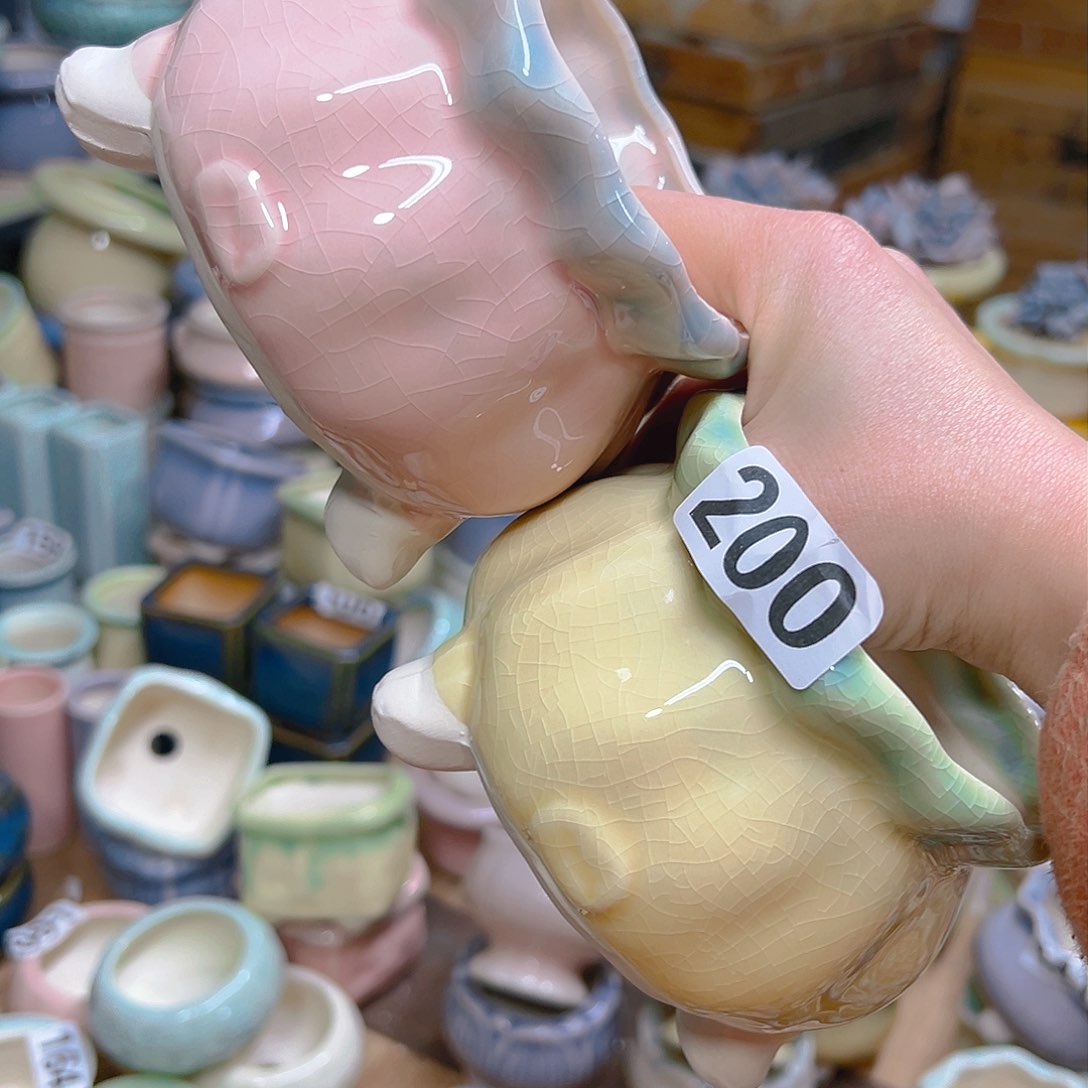 红陶陶瓷制品满12包邮