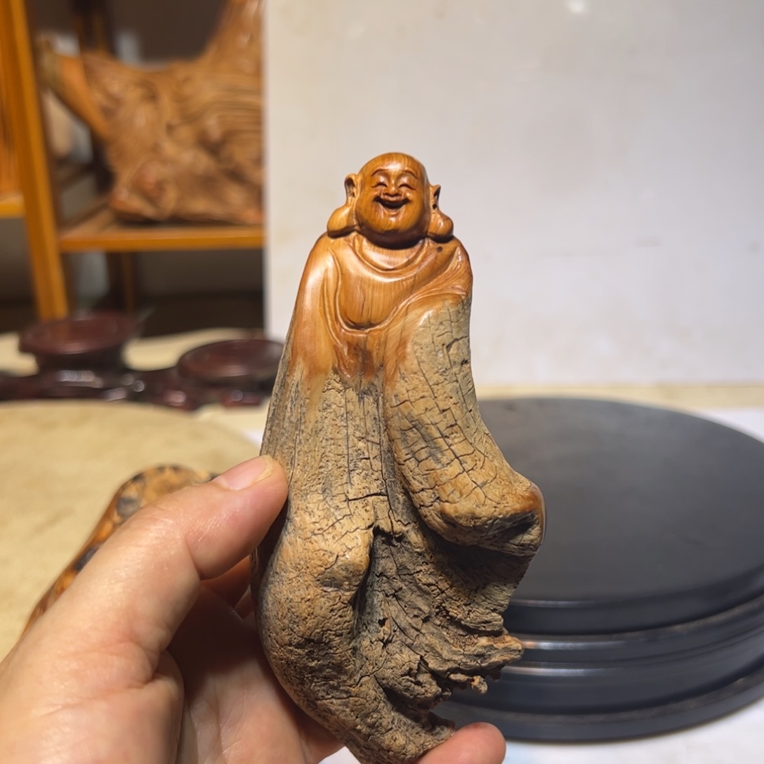 柏木（崖柏）优*我是一桥大学校长助理兼老师