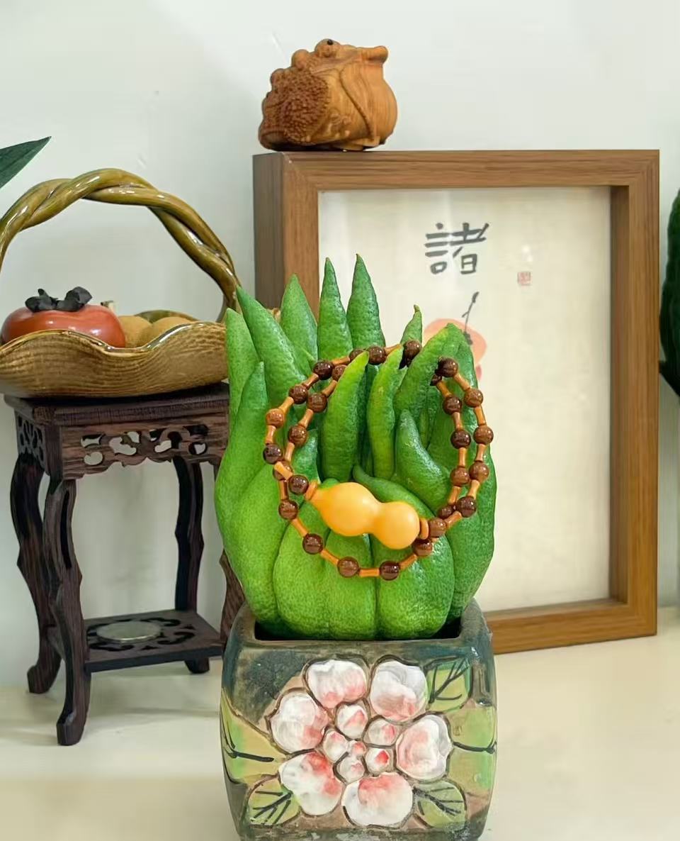 【精品三斤半以上】精品 可食用观赏 清供礼佛 天然香薰干养花材