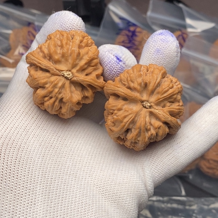 文玩核桃把件凯*大粗筋