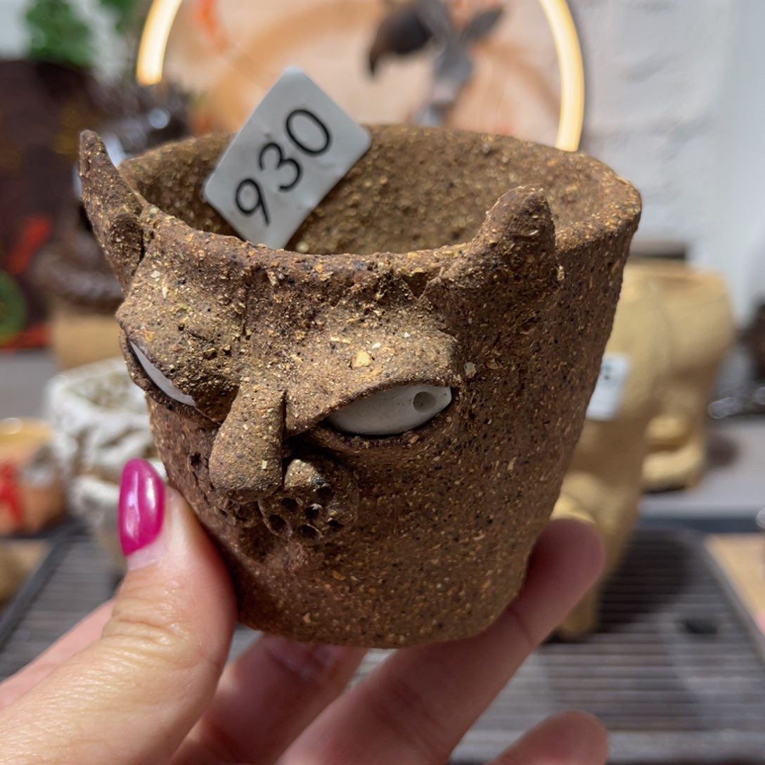 木村信弘柴烧保平