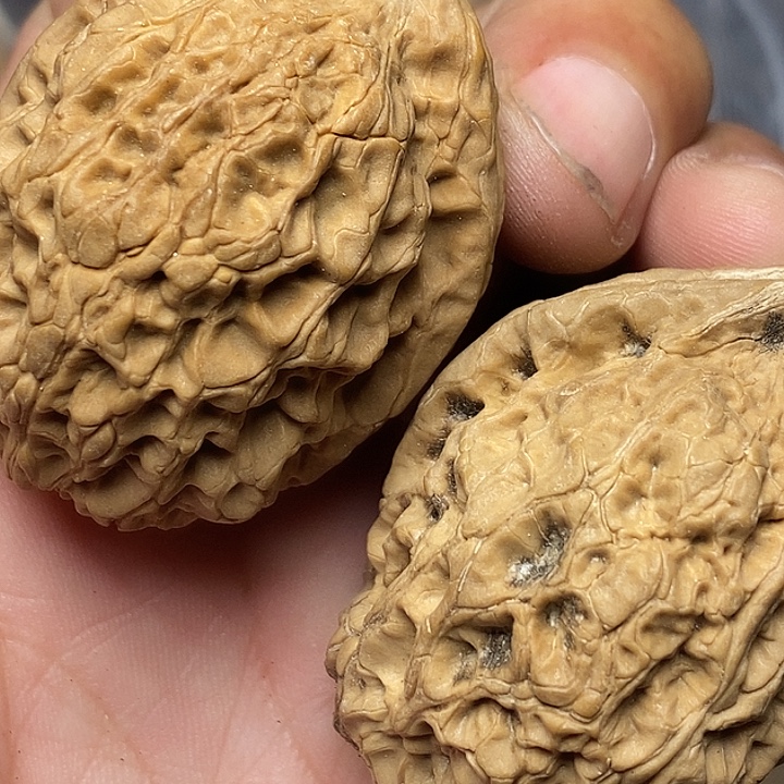 文玩核桃把件志成云铁文玩45