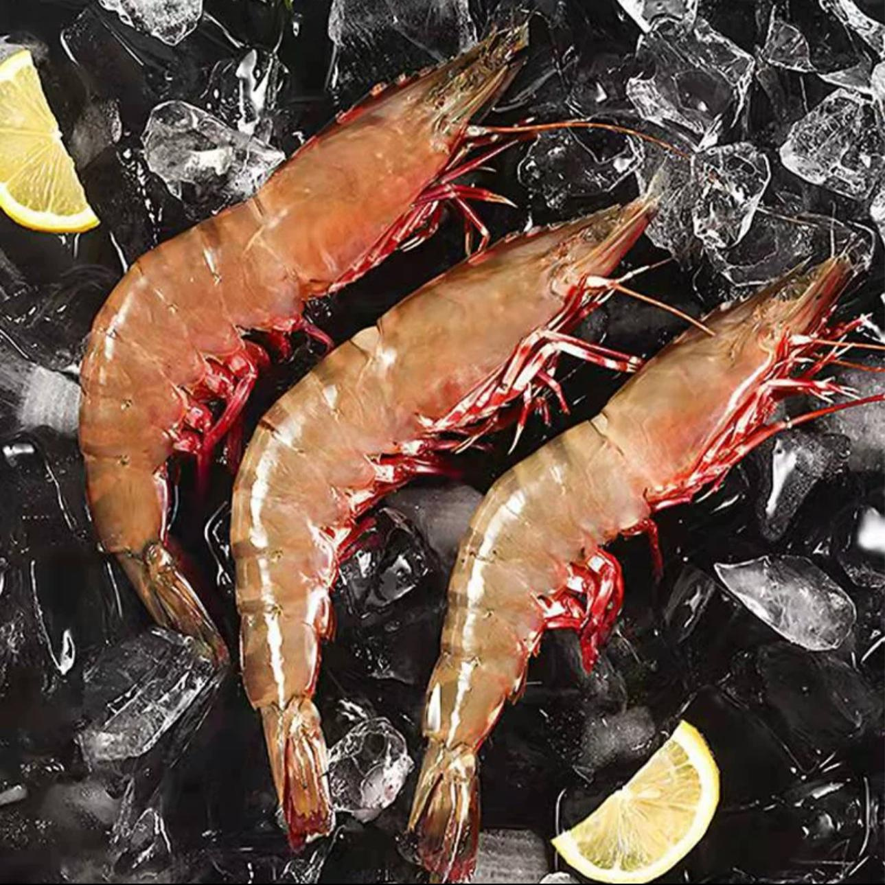 新鲜野生红爪虾 极速锁鲜发货 全国顺丰冷链包邮 10-12条/斤
