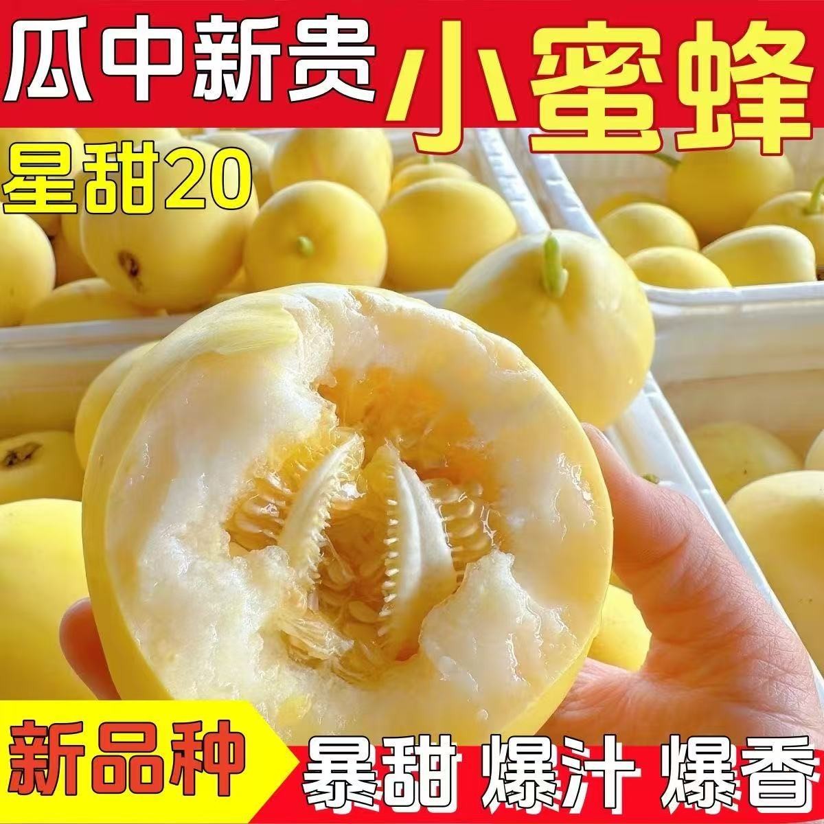 【到手五斤】山东小蜜蜂甜瓜星甜20脆甜多汁新鲜现摘pg
