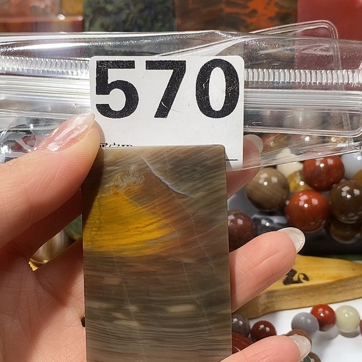 硅化玉未镶嵌天然北票树化玉吊坠