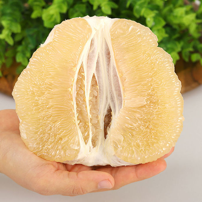 柚子白心柚子白心蜜柚