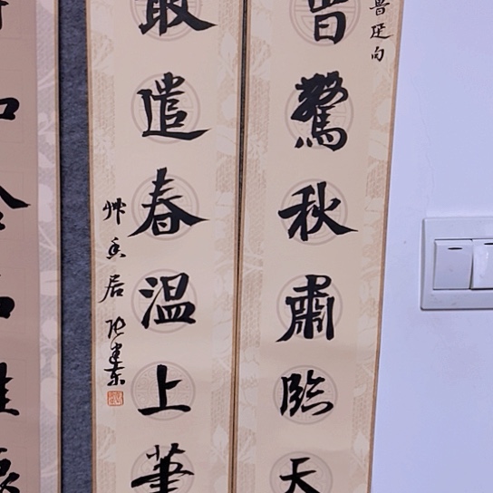 书法张建东老师书法作品