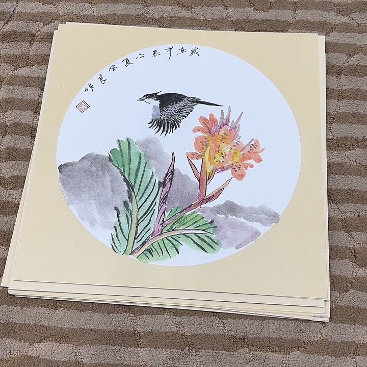 国画啊*?花鸟的翅膀和翅膀都38.38