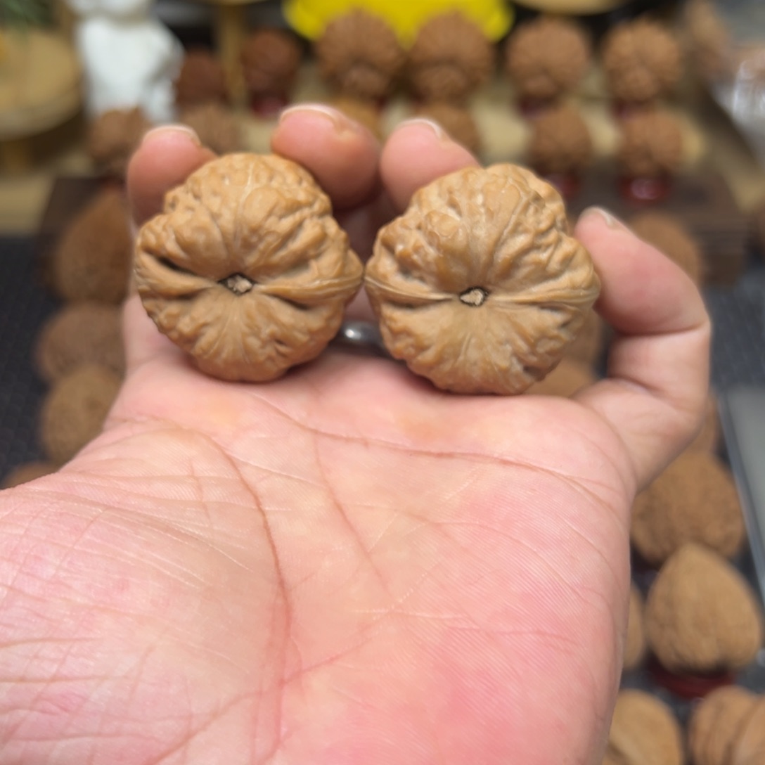 把件文玩核桃菊***花全品古蟾狮子头精对38.5