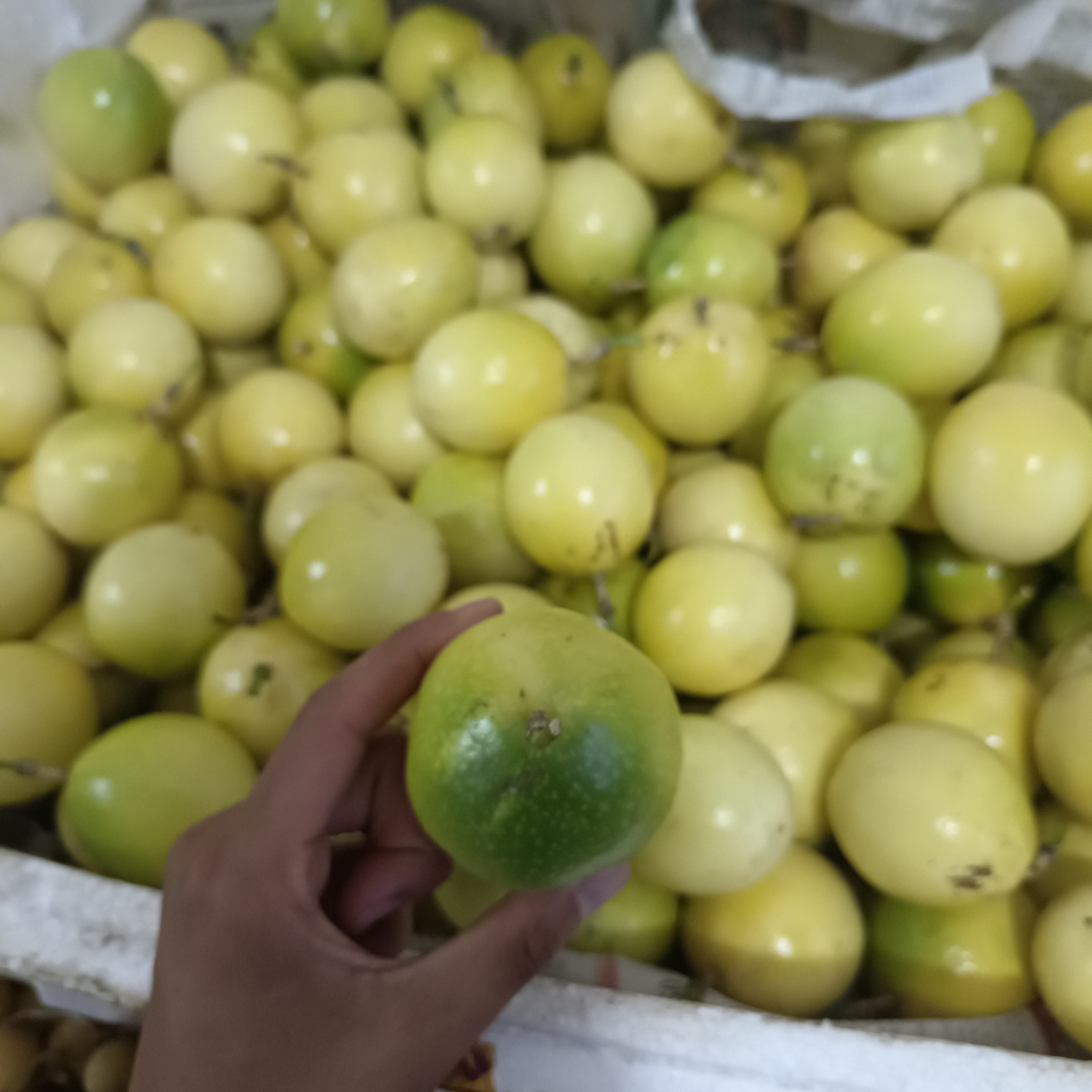 果王黄金百香果（一斤）