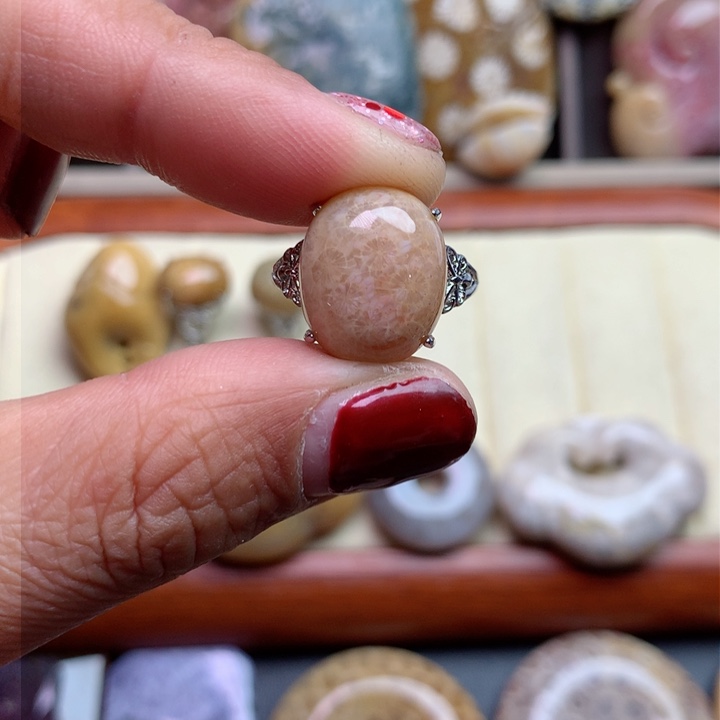 硅化珊瑚（珊瑚玉）颈饰未镶嵌