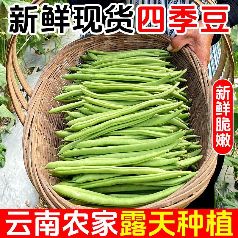 【鲜嫩脆】云南四季豆新鲜豆角刀豆高山露天种植现摘现发时令蔬菜
