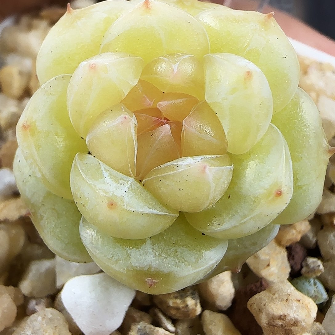 523号哈哈哈哈哈哈