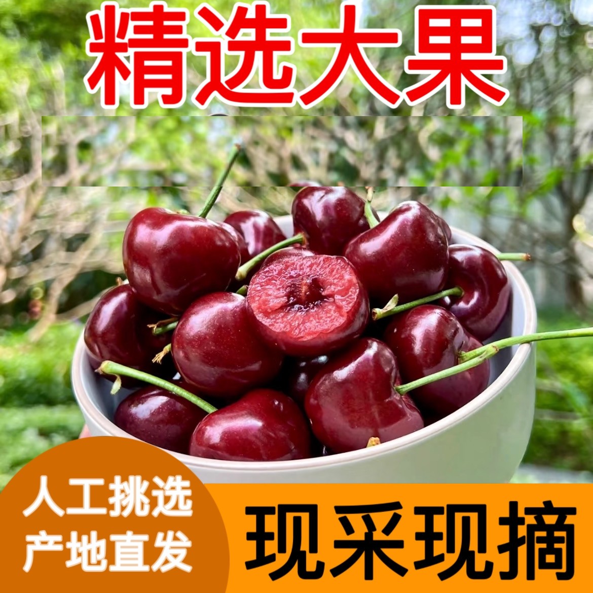 【精选大果】大连美早樱桃3斤装新鲜采摘空运2-5J 内附果径卡