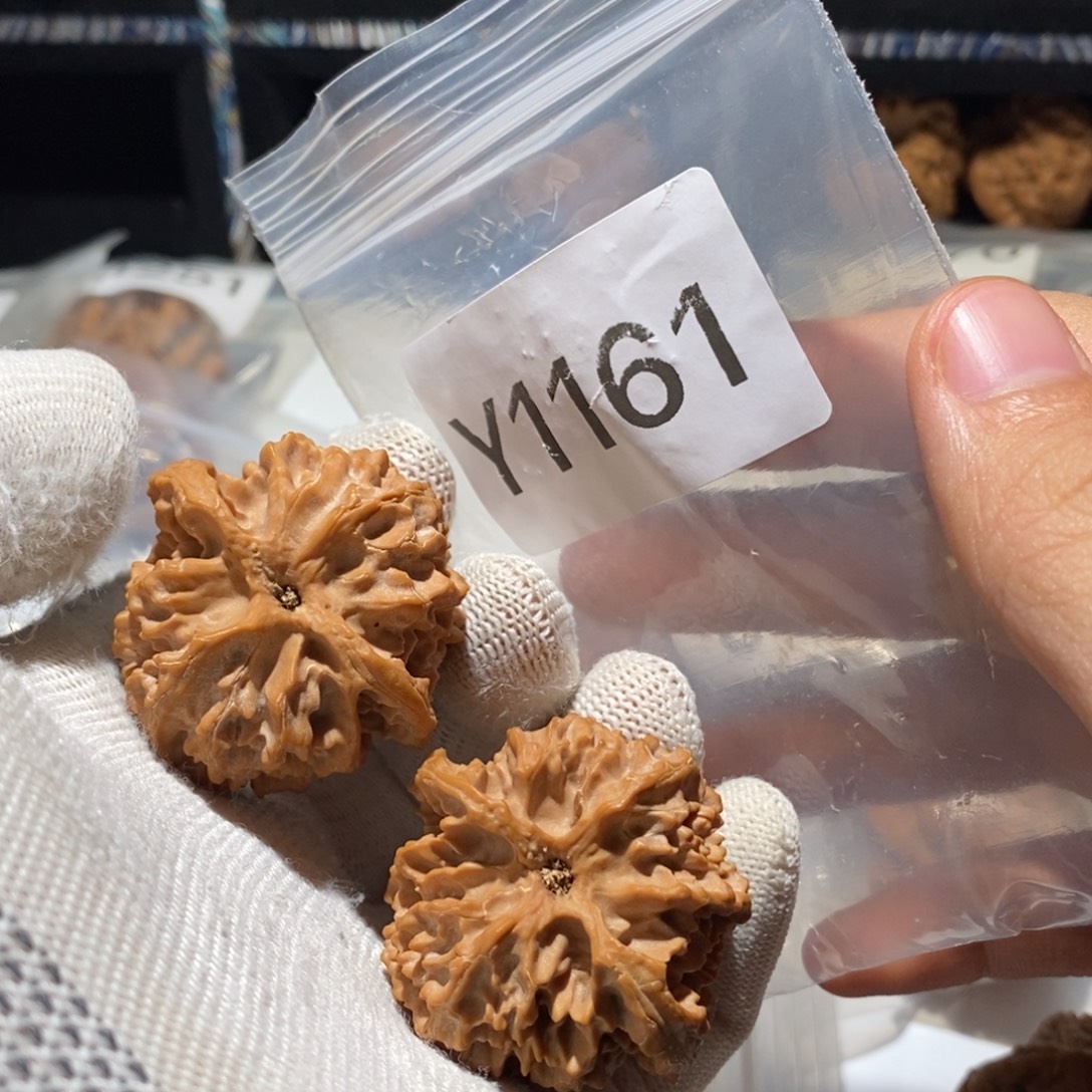 吊坠文玩核桃41全品原装