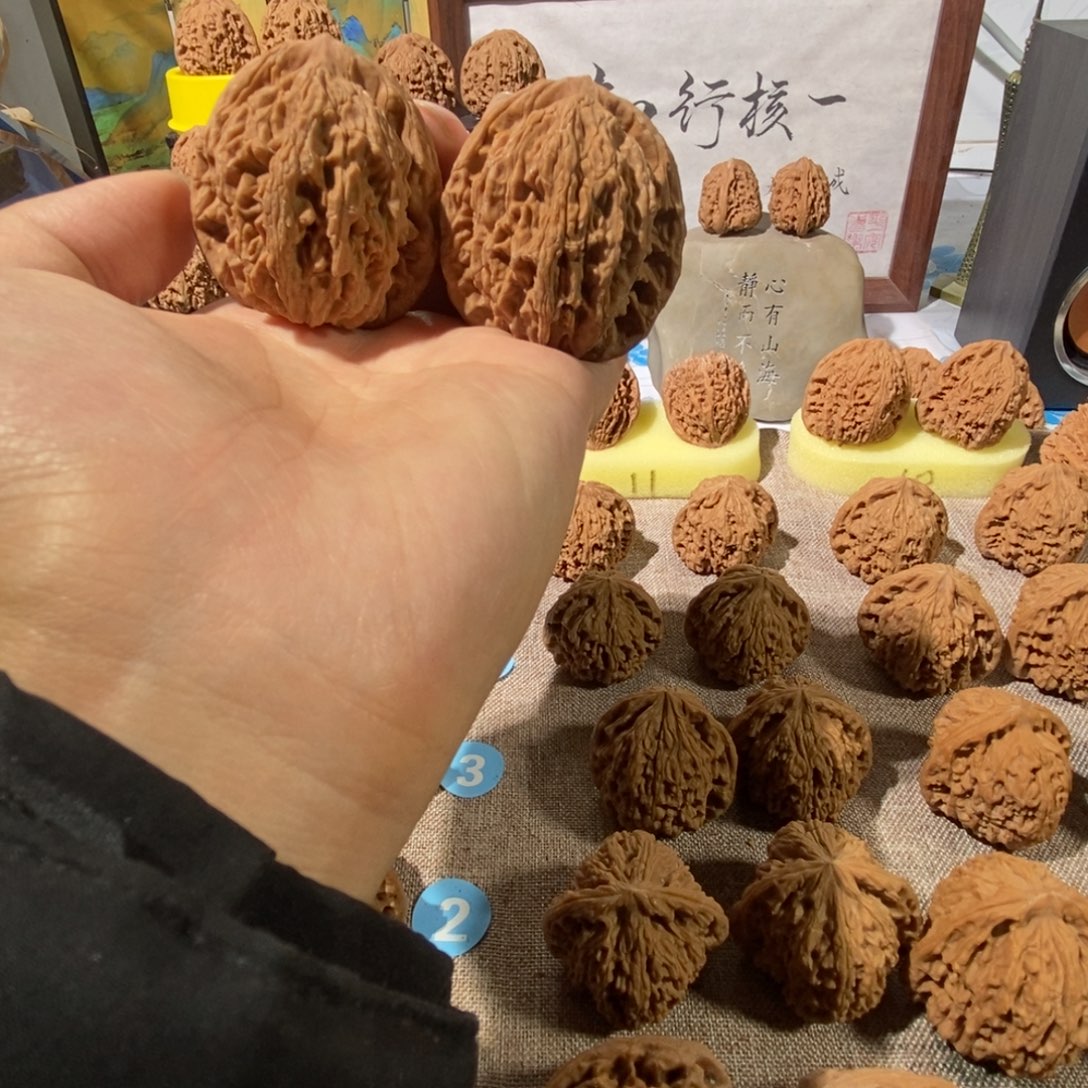 木质类虎头福利对