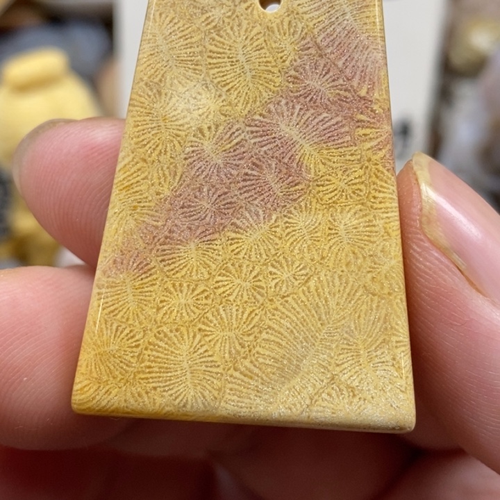硅化珊瑚（珊瑚玉）未镶嵌颈饰
