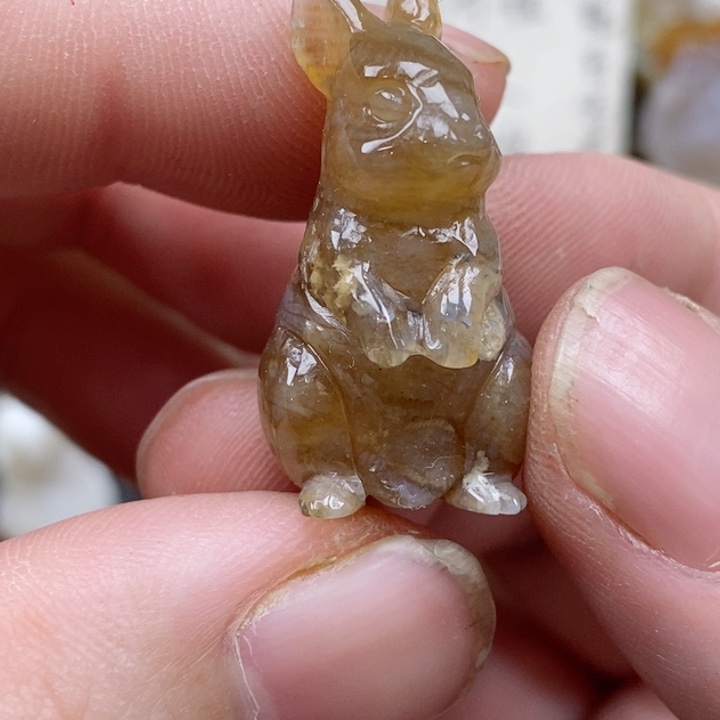 颈饰未镶嵌硅化珊瑚（珊瑚玉）