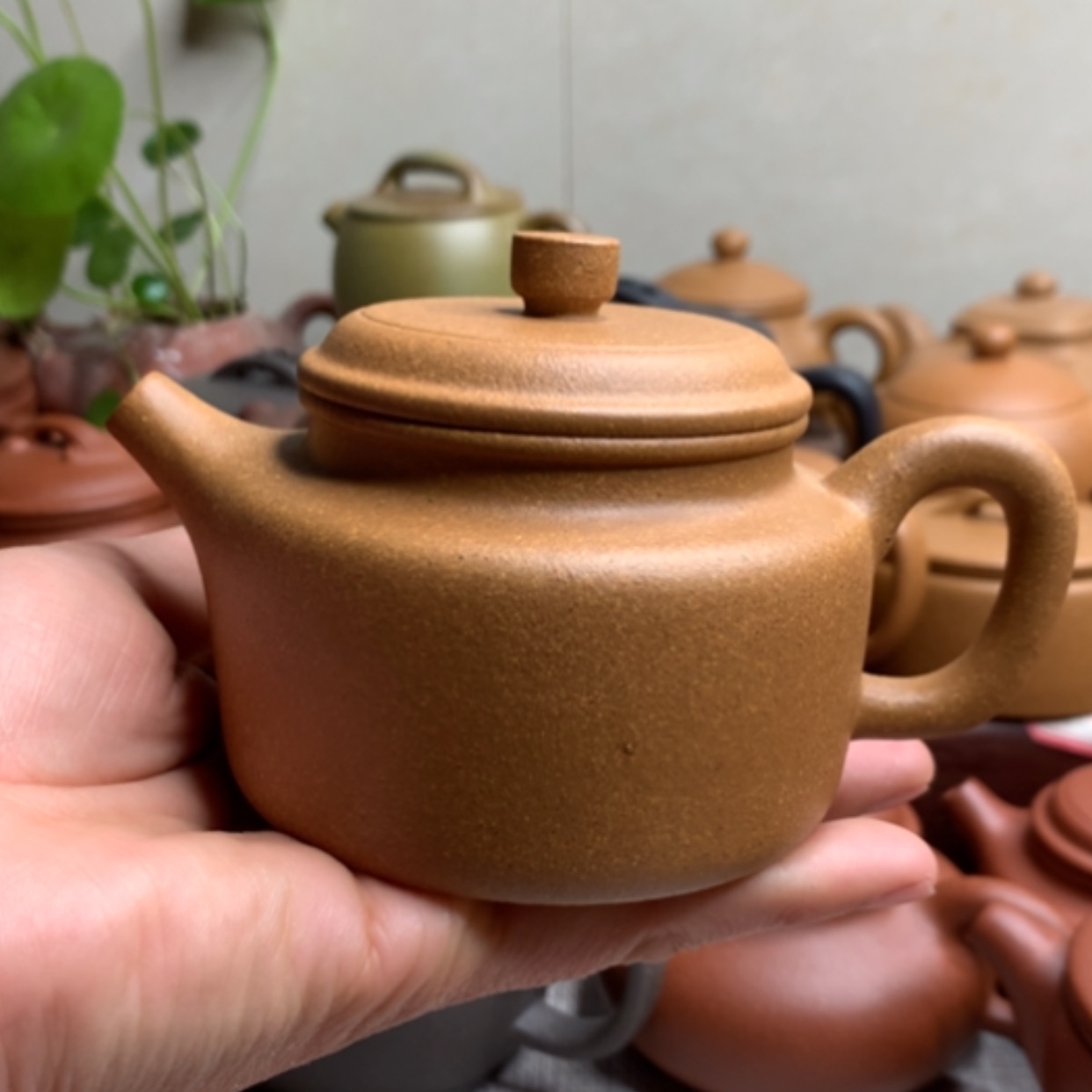 【闪购商品】紫砂茶壶210CC紫砂壶紫砂壶