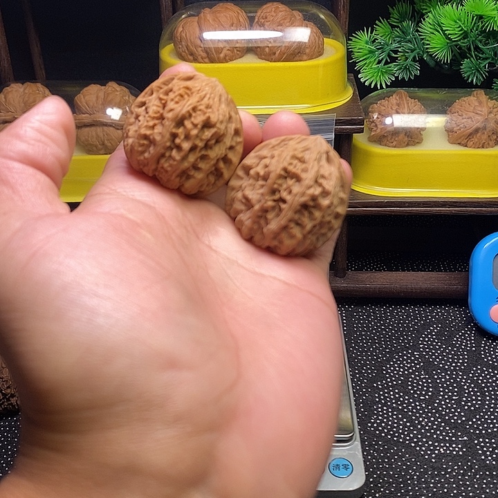 文玩核桃吊坠福利亮灯牌有效