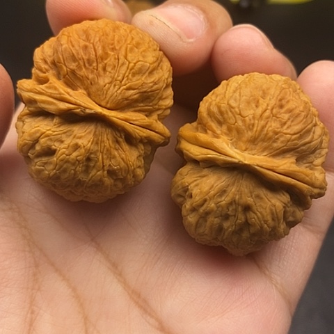 文玩核桃把件38尺云南核桃