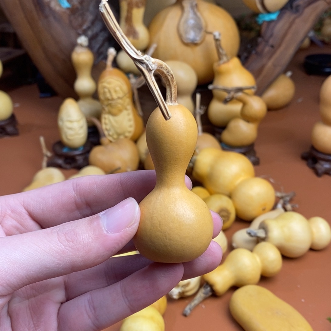 @***二教练教练教练教练经理