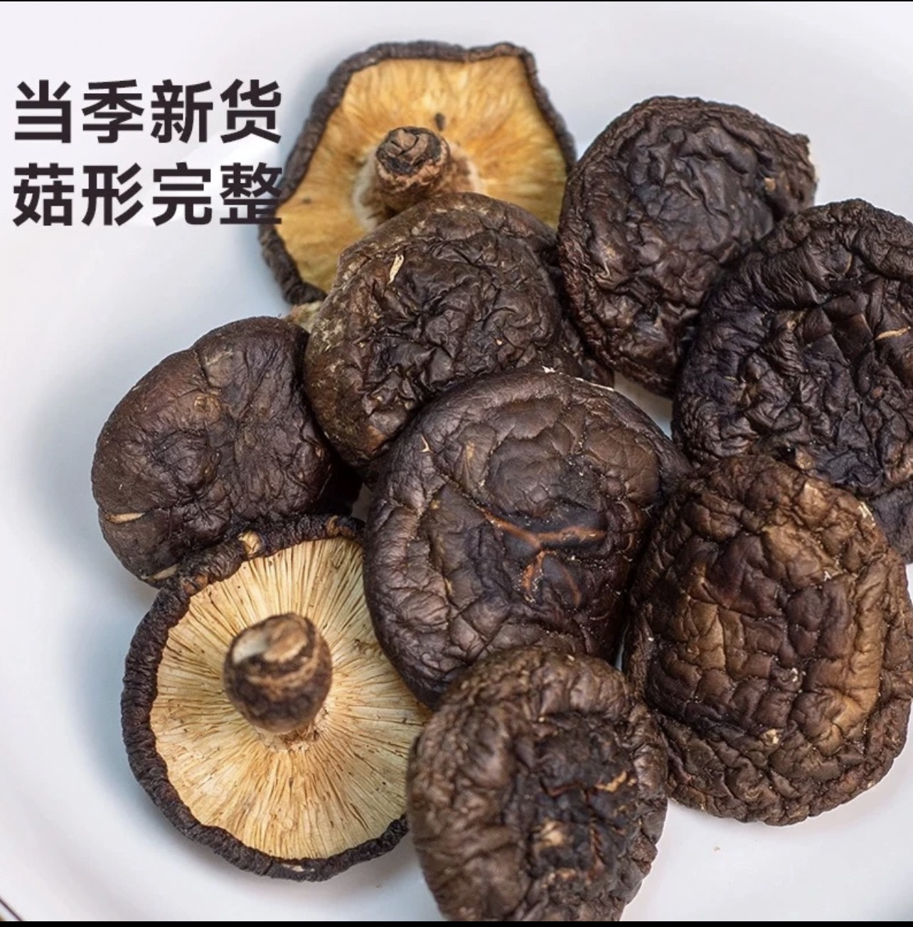 武陵山土家高山野生薄皮香菇香信菇大片干货菌子现收山货闷炒山货
