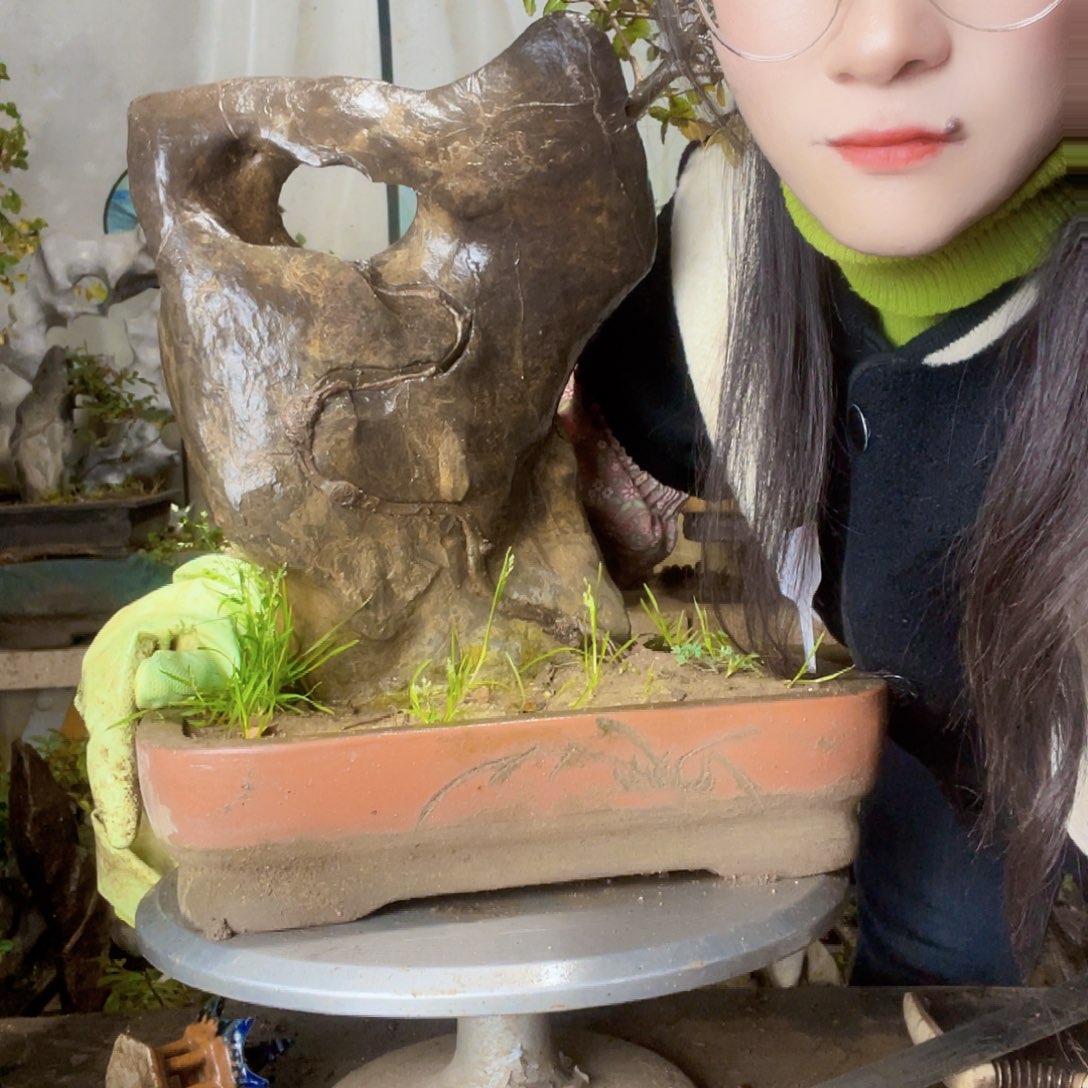 天***者花直播间不见不散吗哦