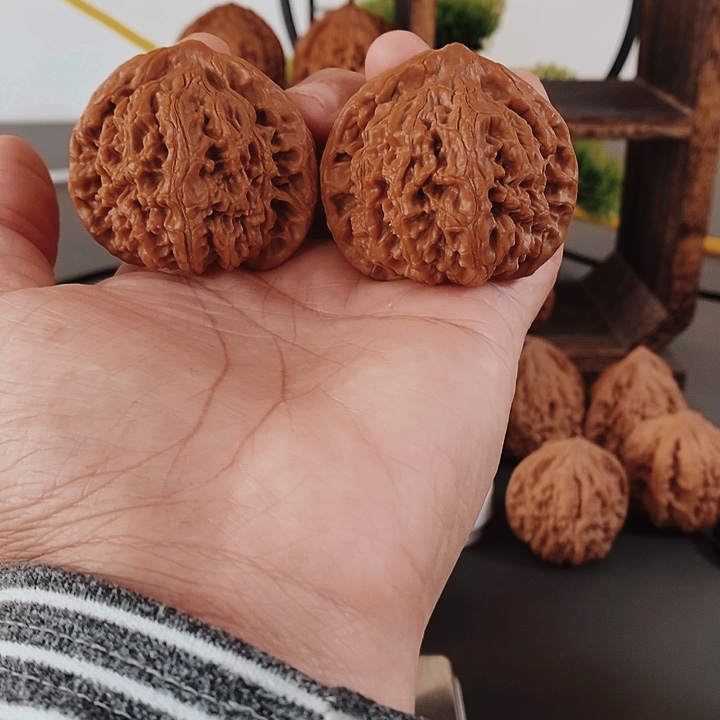 48大尺大水文红皮果
