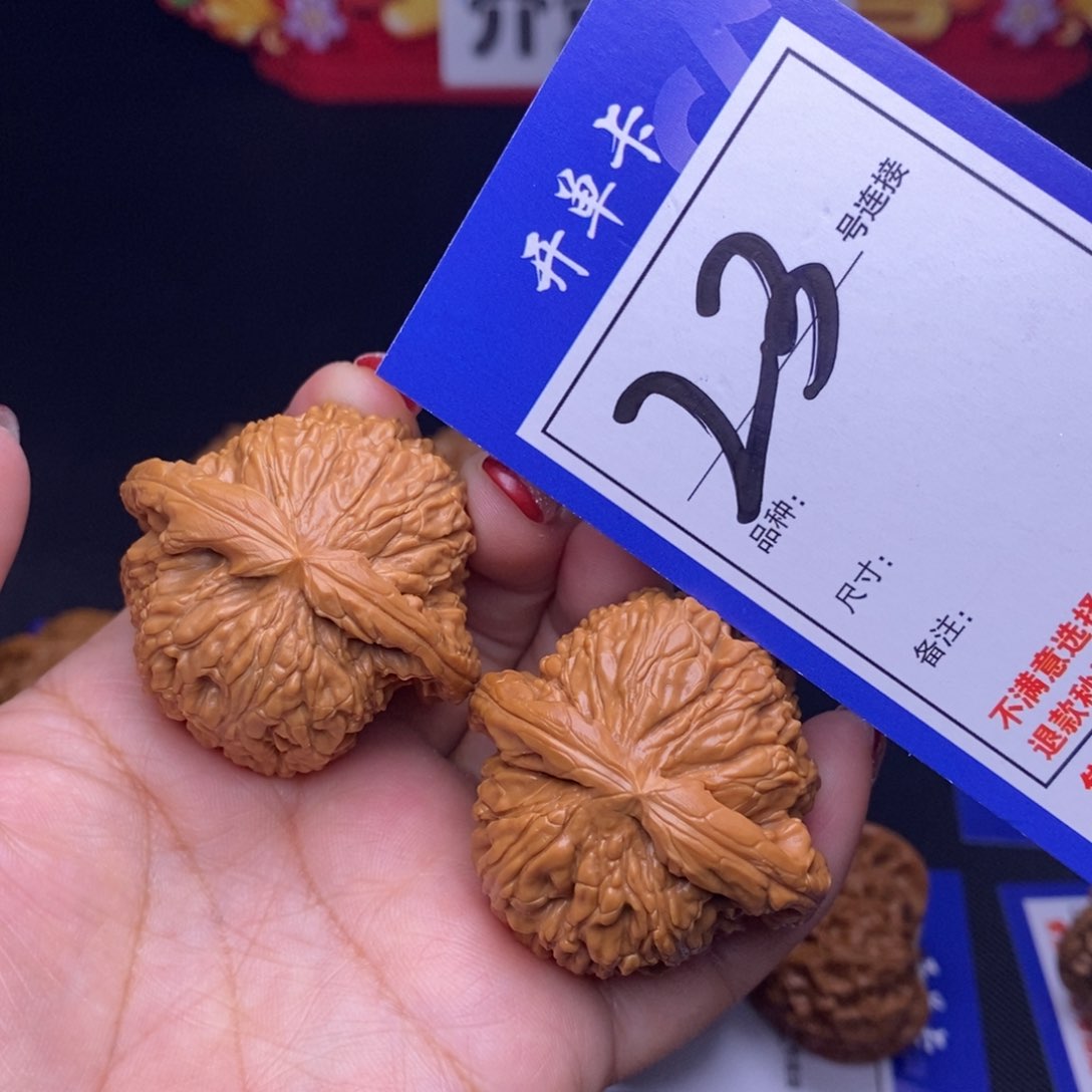 23号链接白狮子4.2尺000000