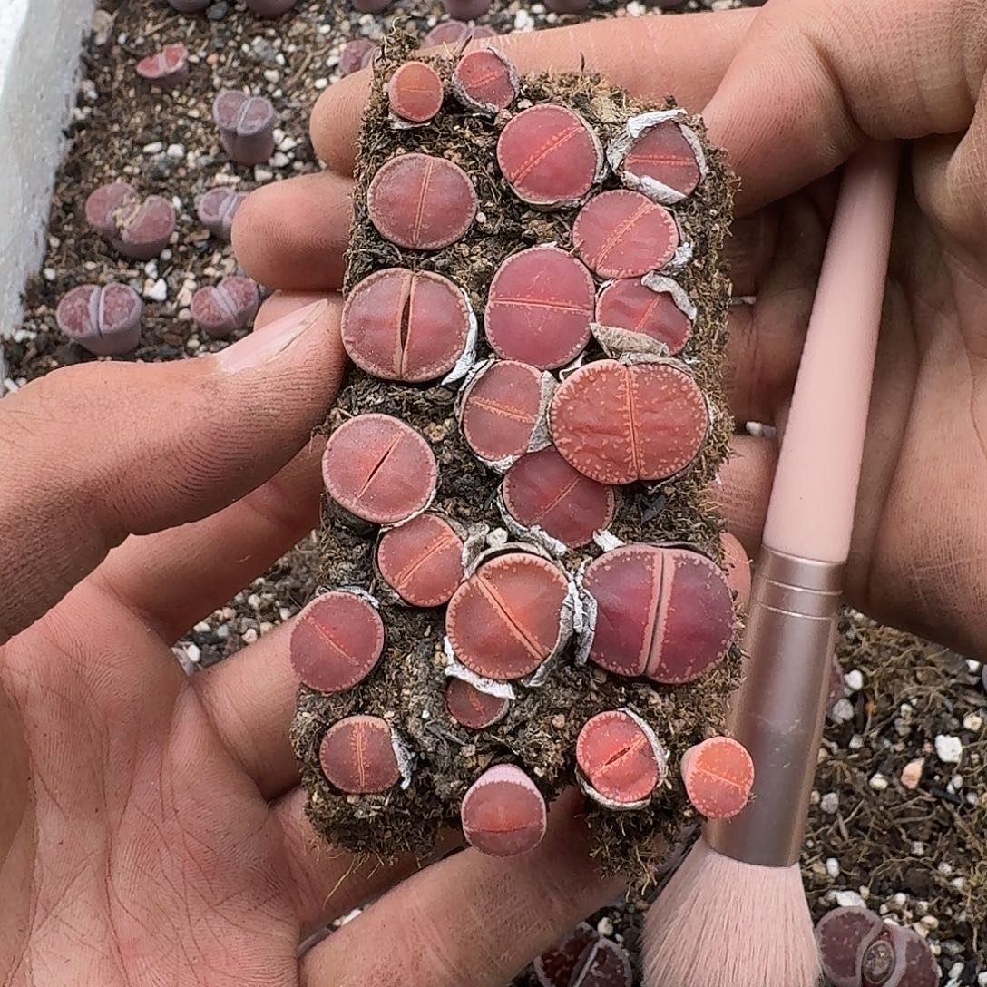 352哈哈哈哈哈哈哈哈哈哈哈