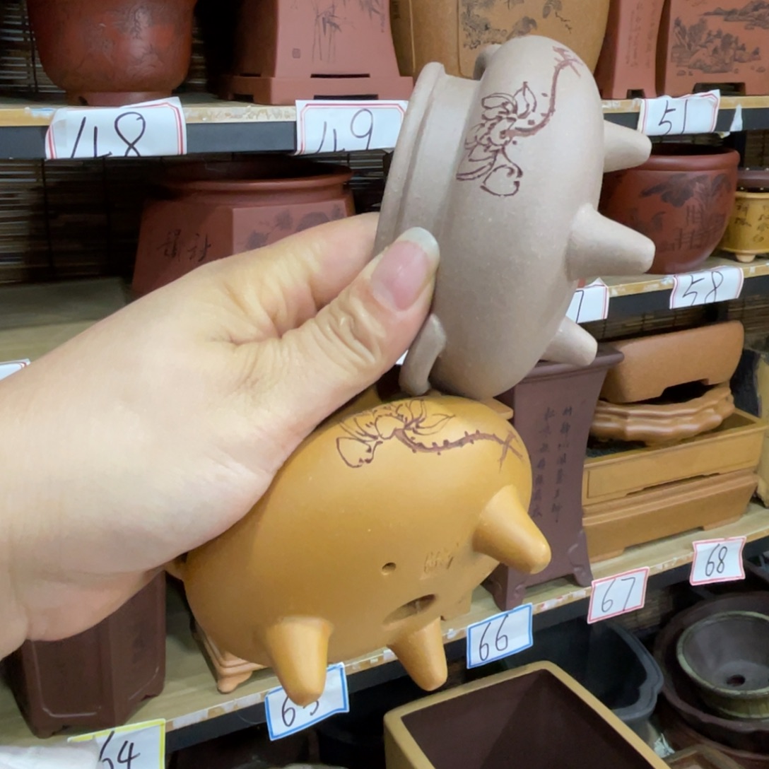 @***工花盆紫砂紫砂花盆在这里