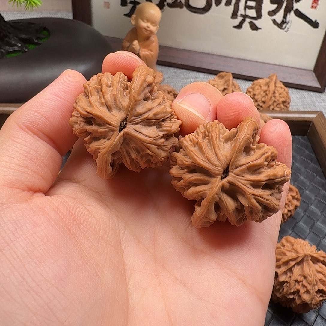 核桃全品新果麦虎37