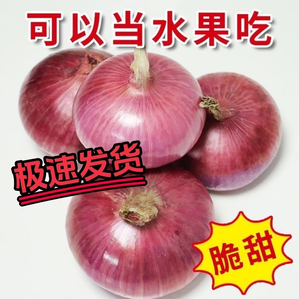 （水果扁洋葱）山东扁平水果洋葱生吃微甜微辣农家种植家庭装5斤